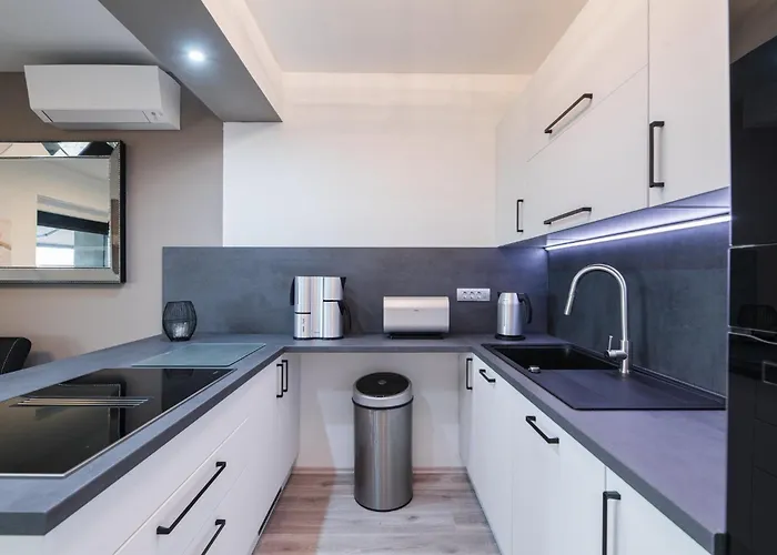 Vivien 茨里克韦尼察